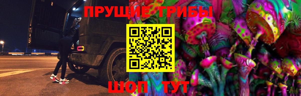 Псилоцибиновые грибы прущие грибы Менделеевск